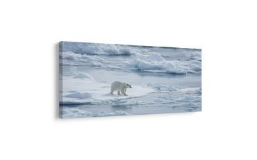 OBRAZ POLÁRNÍ MEDVĚD NA LEDOVÉ KŘE - VÁNOČNÍ A ZIMNÍ OBRAZY - PICTURES