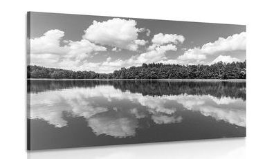 WANDBILD NATUR IM SOMMER IN SCHWARZ-WEISS - SCHWARZ-WEISSE BILDER - BILDER