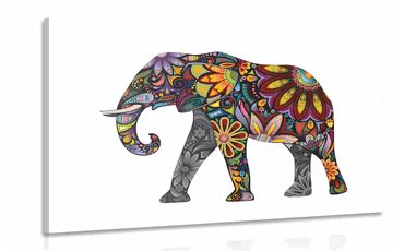 Canvas print elephant with positive vibrations