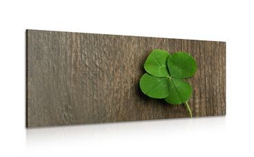 CANVAS PRINT HAPPY FOUR-LEAF CLOVER - STILL LIFE PICTURES - PICTURES