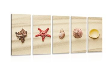 IMPRESSION SUR TOILE EN 5 PARTIES COQUILLAGES SUR UNE PLAGE DE SABLE - IMPRESSION SUR TOILE DE NATURE ET PAYSAGE - IMPRESSION SUR TOILE