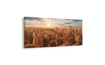 TABLEAU SUR TOILE – CHAMP D’ÉTÉ SOUS LE CIEL DU SOIR - TABLEAUX DE CHAMPS ET PRAIRIES - TABLEAUX