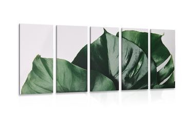 5-TEILIGES WANDBILD MONSTERA-BLATT - STILLLEBEN-BILDER - BILDER