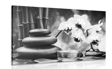 CANVAS PRINT SPA STILL LIFE IN BLACK AND WHITE - BLACK AND WHITE PICTURES - PICTURES