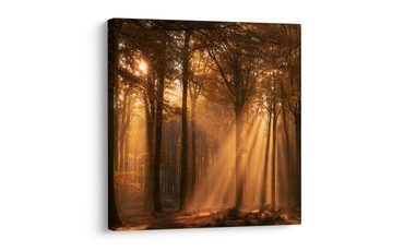 TABLEAU SUR TOILE – SOLEIL ENTRE LES ARBRES - TABLEAUX FORÊT - TABLEAUX