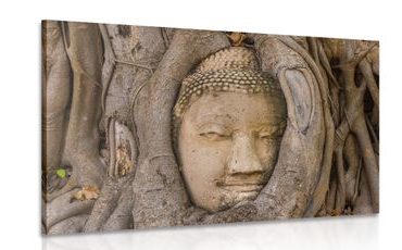 CANVAS PRINT BUDDHA'S SACRED FIG TREE - PICTURES FENG SHUI - PICTURES