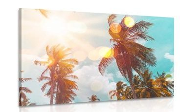 CANVAS PRINT SUN RAYS BETWEEN PALM TREES - PICTURES OF NATURE AND LANDSCAPE - PICTURES