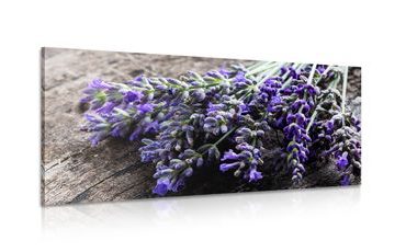 QUADRO BOUQUET DI LAVANDA - QUADRI DI FIORI - QUADRI