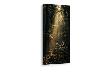 TABLEAU SUR TOILE – FORÊT PAISIBLE DANS LA LUMIÈRE MATINALE - TABLEAUX FORÊT - TABLEAUX