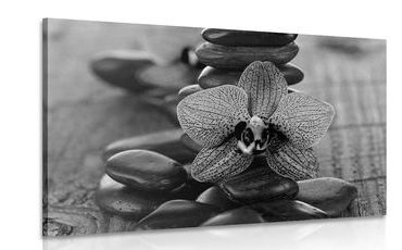 WANDBILD ORCHIDEE UND ZEN-STEINE IN SCHWARZ-WEISS - SCHWARZ-WEISSE BILDER - BILDER