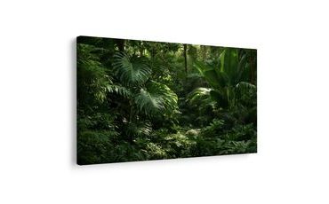 TABLEAU SUR TOILE – JUNGLE TROPICALE VERDOYANTE - TABLEAUX ARBRES ET FEUILLES - TABLEAUX