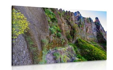 CANVAS PRINT NARROW TOURIST PATH - PICTURES OF NATURE AND LANDSCAPE - PICTURES