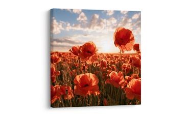 TABLEAU SUR TOILE – CHAMP DE COQUELICOTS EN FLEURS - TABLEAUX DE CHAMPS ET PRAIRIES - TABLEAUX