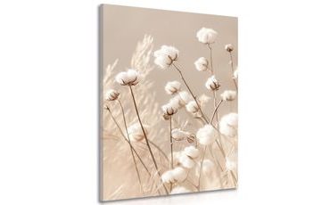 OBRAZ SUCHÁ BAVLNA - OBRAZY TRÁVY - OBRAZY
