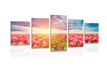 5-TEILIGES WANDBILD SONNENAUFGANG ÜBER DER WIESE MIT TULPEN - BILDER BLUMEN - BILDER