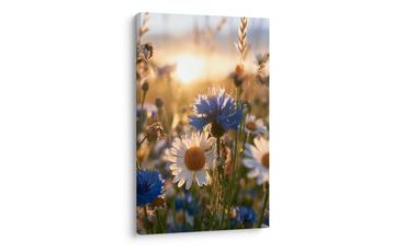 TABLEAU SUR TOILE – MARGUERITES ET BLEUETS AU SOLEIL - TABLEAUX DE FLEURS - TABLEAUX