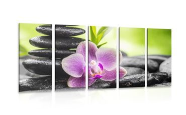 5-TEILIGES WANDBILD TROPISCHE ZEN-KOMPOSITION - BILDER MIT FENG SHUI-MOTIVEN - BILDER