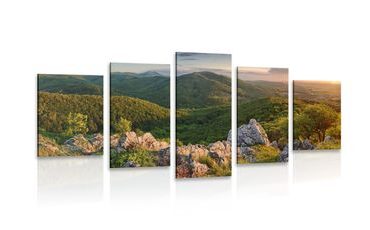 5-PIECE CANVAS PRINT NATURE BATHED IN THE SUN - PICTURES OF NATURE AND LANDSCAPE - PICTURES