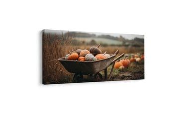 SLIKA STARO KOLO Z BUČAMI - SLIKE TIHOŽITJE - SLIKE