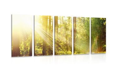 IMPRESSION SUR TOILE EN 5 PARTIES RAYONS DE SOLEIL DANS LA FORÊT - IMPRESSION SUR TOILE DE NATURE ET PAYSAGE - IMPRESSION SUR TOILE