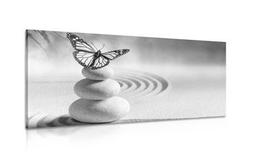 CANVAS PRINT BALANCE OF STONES AND A BUTTERFLY IN BLACK AND WHITE - BLACK AND WHITE PICTURES - PICTURES