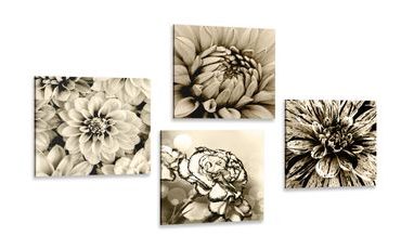 BILDERSET BLUMEN IN SEPIA - BILDERSETS - BILDER