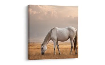 SLIKA OSAMLJENI KONJ NA TRAVNIKU - SLIKE KONJI - SLIKE