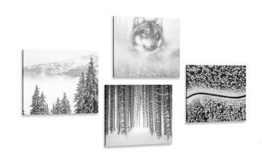 Set di quadri lupo in una foresta misteriosa in bianco e nero
