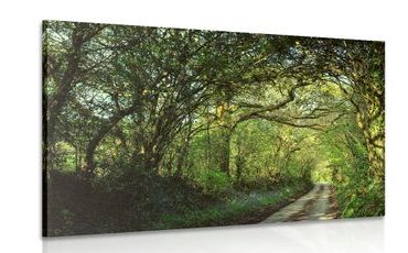 CANVAS PRINT FAIRYTALE FOREST - PICTURES OF NATURE AND LANDSCAPE - PICTURES