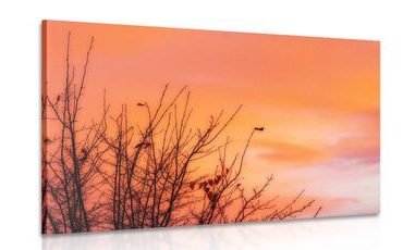 OBRAZ BAREVNÁ OBLOHA - OBRAZY PŘÍRODY A KRAJINY - OBRAZY