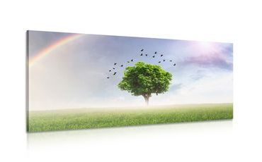 CANVAS PRINT LONELY TREE ON THE MEADOW - PICTURES OF NATURE AND LANDSCAPE - PICTURES