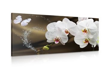 CANVAS PRINT ORCHID AND A BUTTERFLY - PICTURES FLOWERS - PICTURES