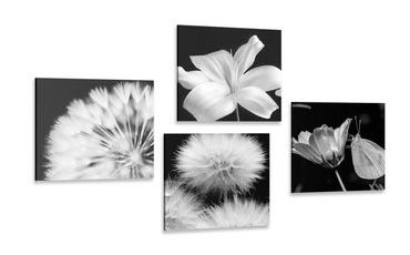 ENSEMBLE DE TABLEAUX – BEAUTÉ DE FLEURS EN NOIR ET BLANC AVEC PAPILLON - ENSEMBLES D'IMAGES - TABLEAUX