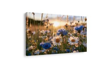 TABLEAU SUR TOILE – FLEURS DES CHAMPS AU COUCHER DU SOLEIL - TABLEAUX DE FLEURS - TABLEAUX