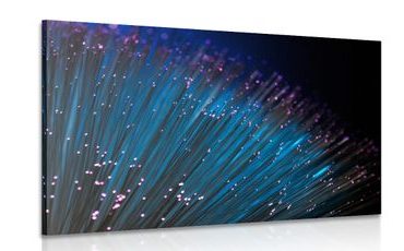OBRAZ VLÁKNOVÁ OPTIKA - OBRAZY ZÁTIŠÍ - OBRAZY