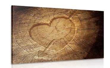 CANVAS PRINT HEART CARVED INTO A STUMP - PICTURES OF NATURE AND LANDSCAPE - PICTURES