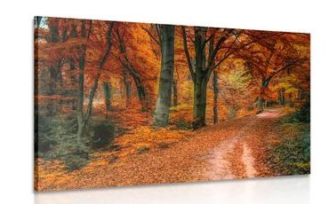 QUADRO FORESTA IN AUTUNNO - QUADRI DI NATURA E PAESAGGIO - QUADRI