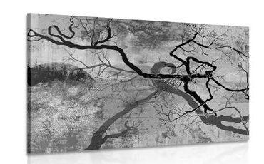 WANDBILD SURREALE BÄUME IN SCHWARZ-WEISS - SCHWARZ-WEISSE BILDER - BILDER