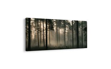TABLEAU SUR TOILE – LUMIÈRE MATINALE PAISIBLE EN FORÊT - TABLEAUX FORÊT - TABLEAUX