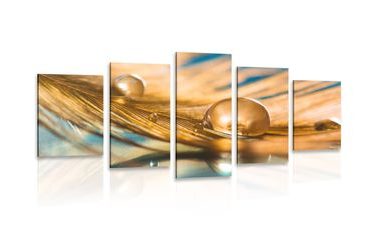 5-PIECE CANVAS PRINT DROP OF WATER ON A GOLD FEATHER - STILL LIFE PICTURES - PICTURES