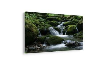 TABLEAU SUR TOILE – RUISSEAU FORESTIER ENTRE LES MOUSSES - TABLEAUX FORÊT - TABLEAUX