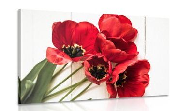 WANDBILD AUFGEBLÜHTE ROTE TULPEN - BILDER BLUMEN - BILDER