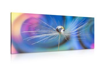 CANVAS PRINT DROP OF DEW ON AN ABSTRACT BACKGROUND - ABSTRACT PICTURES - PICTURES