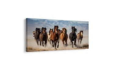 SLIKA KRDO KONJA U POKRETU - SLIKE KONJA - SLIKE