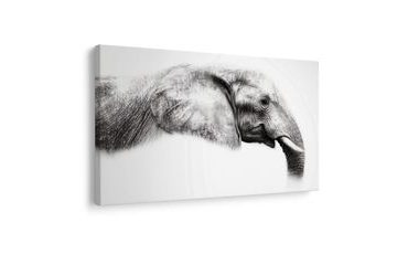 KÉP ELEGÁNS ELEFÁNT PROFIL - ELEFÁNTOS KÉPEK - KÉPEK