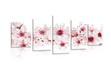 5-PIECE CANVAS PRINT CHERRY BLOSSOMS - PICTURES FLOWERS - PICTURES