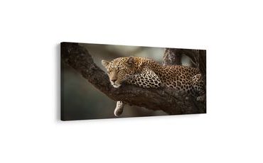 SLIKA DIVJA ELEGANCA V NARAVI - SLIKE LEVI IN TIGRI - SLIKE