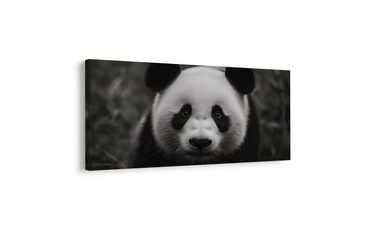 SLIKA CRNO-BIJELA PANDA S OSMIJEHOM - SLIKE ŽIVOTINJA - SLIKE