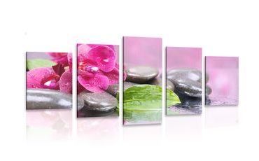 5-PIECE CANVAS PRINT ORCHID WITH A HINT OF RELAXATION - PICTURES FENG SHUI - PICTURES
