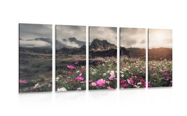 5-PIECE CANVAS PRINT MEADOW OF BLOOMING FLOWERS - PICTURES OF NATURE AND LANDSCAPE - PICTURES